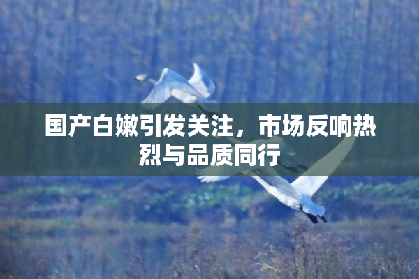 国产白嫩引发关注，市场反响热烈与品质同行