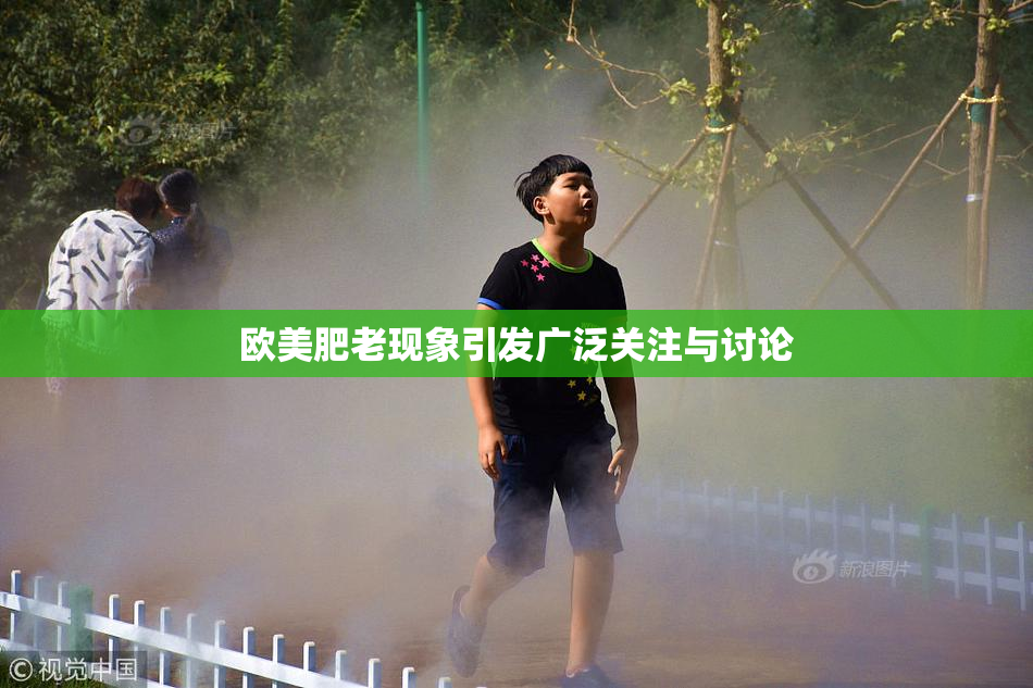 欧美肥老现象引发广泛关注与讨论