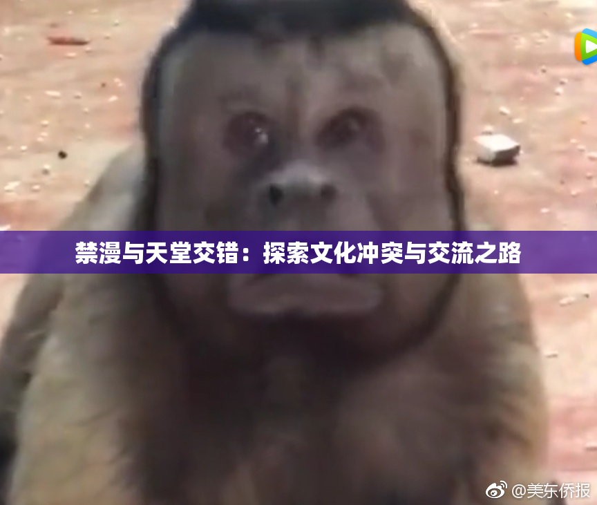 禁漫与天堂交错：探索文化冲突与交流之路