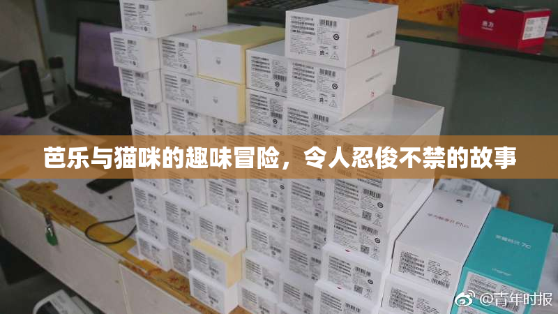芭乐与猫咪的趣味冒险，令人忍俊不禁的故事