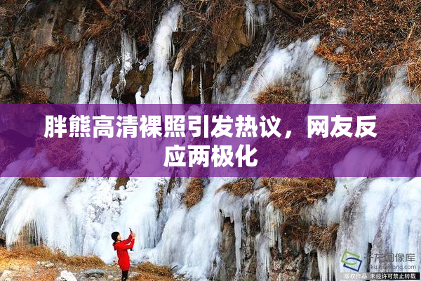 胖熊高清裸照引发热议，网友反应两极化