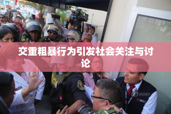 交重粗暴行为引发社会关注与讨论