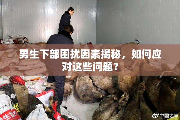 男生下部困扰因素揭秘，如何应对这些问题？