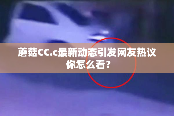 蘑菇CC.c最新动态引发网友热议 你怎么看？