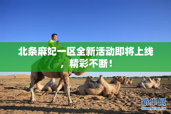 北条麻妃一区全新活动即将上线，精彩不断！