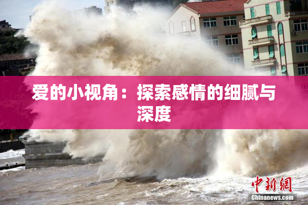 爱的小视角：探索感情的细腻与深度