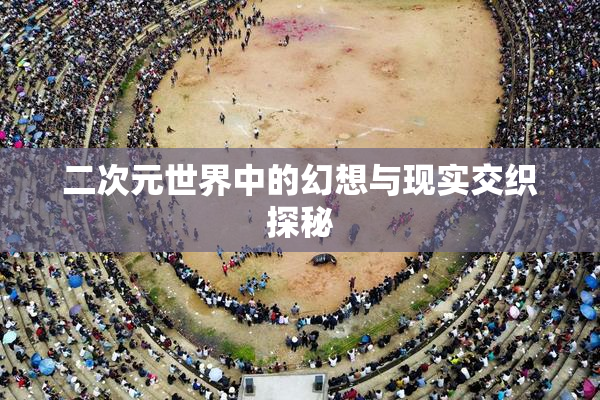 二次元世界中的幻想与现实交织探秘