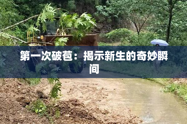 第一次破苞：揭示新生的奇妙瞬间