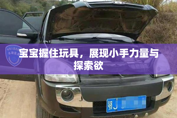 宝宝握住玩具，展现小手力量与探索欲