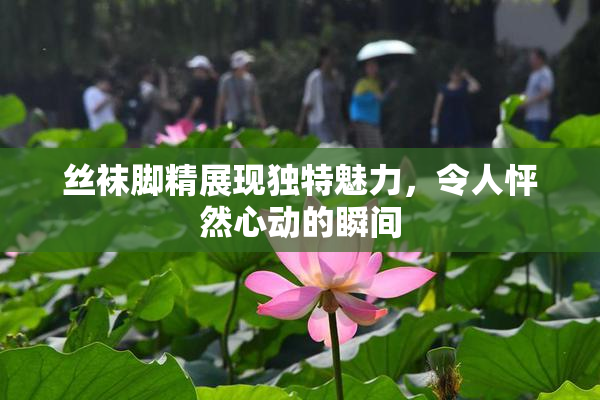 丝袜脚精展现独特魅力，令人怦然心动的瞬间