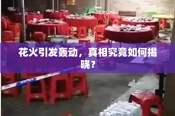 花火引发轰动，真相究竟如何揭晓？