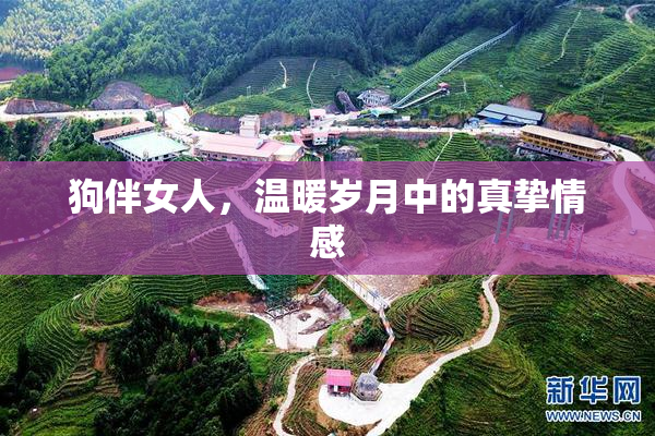 狗伴女人，温暖岁月中的真挚情感
