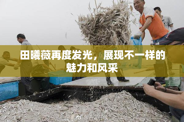 田曦薇再度发光，展现不一样的魅力和风采