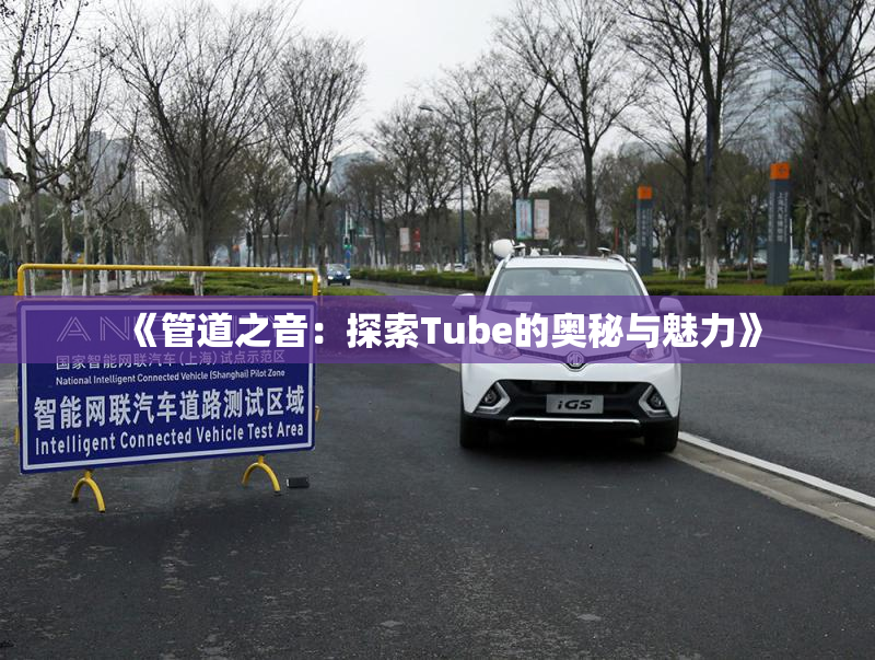 《管道之音：探索Tube的奥秘与魅力》