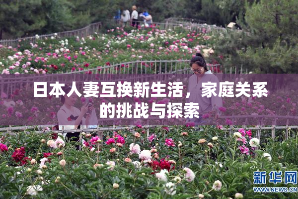 日本人妻互换新生活，家庭关系的挑战与探索
