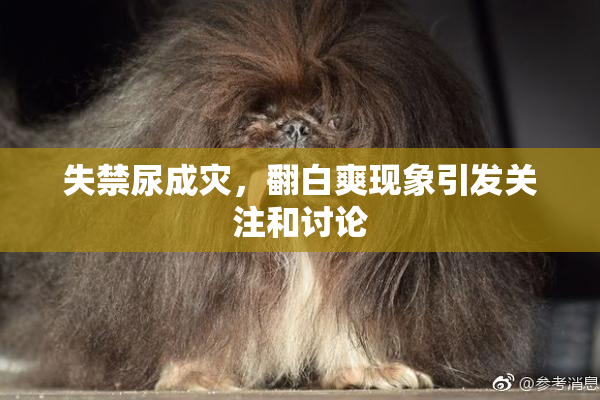 失禁尿成灾，翻白爽现象引发关注和讨论