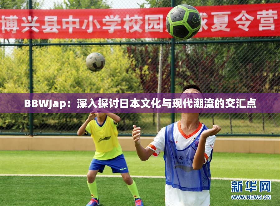 BBWJap：深入探讨日本文化与现代潮流的交汇点