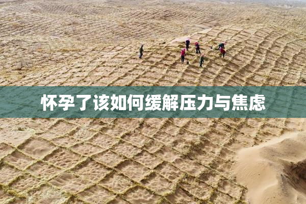 怀孕了该如何缓解压力与焦虑