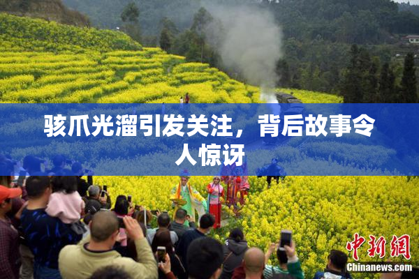 骇爪光溜引发关注，背后故事令人惊讶