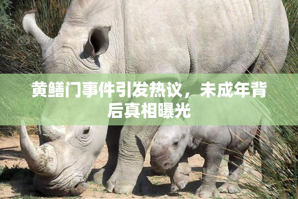 黄鳝门事件引发热议，未成年背后真相曝光