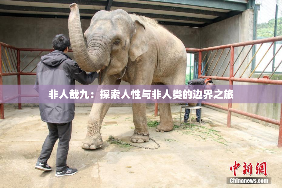 非人哉九：探索人性与非人类的边界之旅