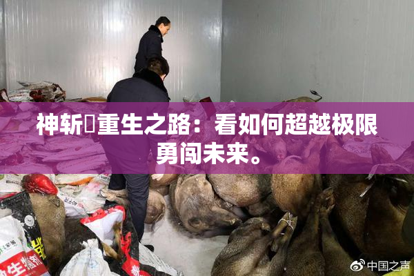 神斩婬重生之路：看如何超越极限勇闯未来。