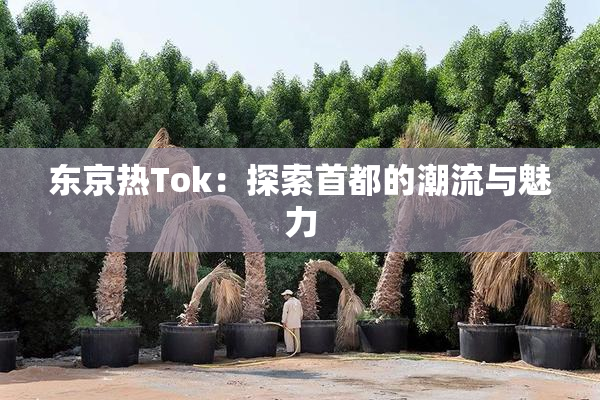 东京热Tok：探索首都的潮流与魅力