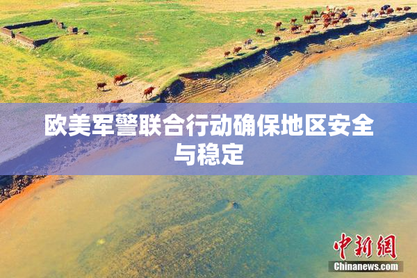 欧美军警联合行动确保地区安全与稳定