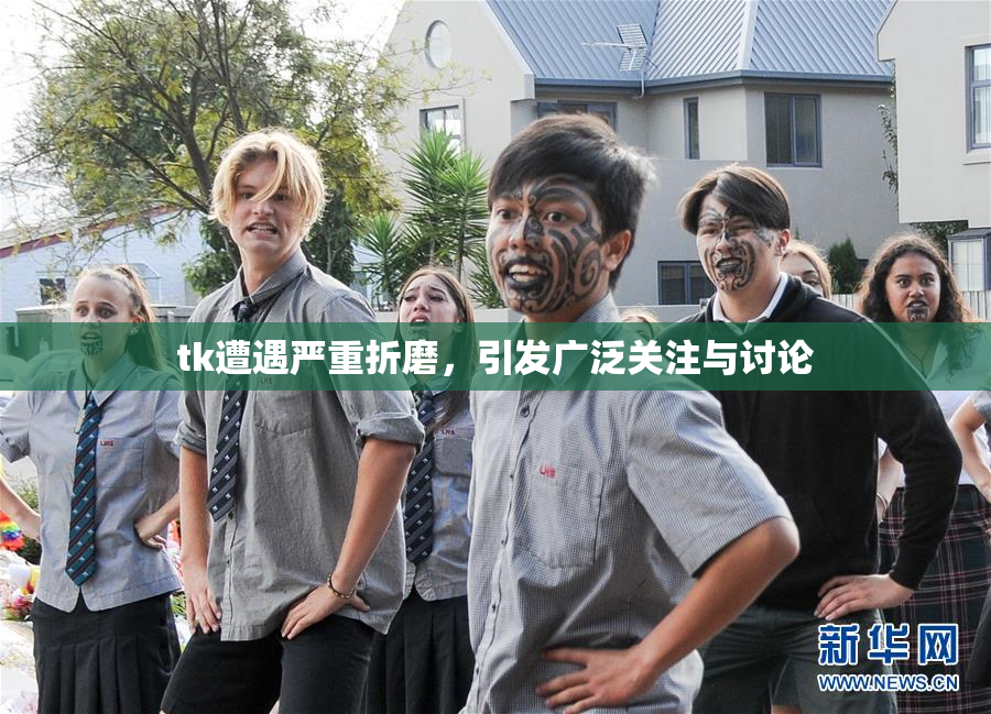 tk遭遇严重折磨，引发广泛关注与讨论