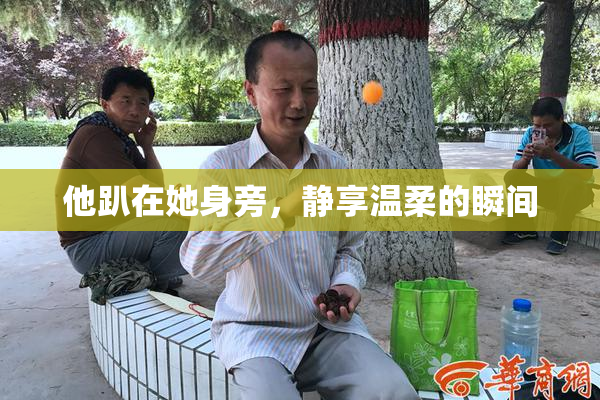 他趴在她身旁，静享温柔的瞬间