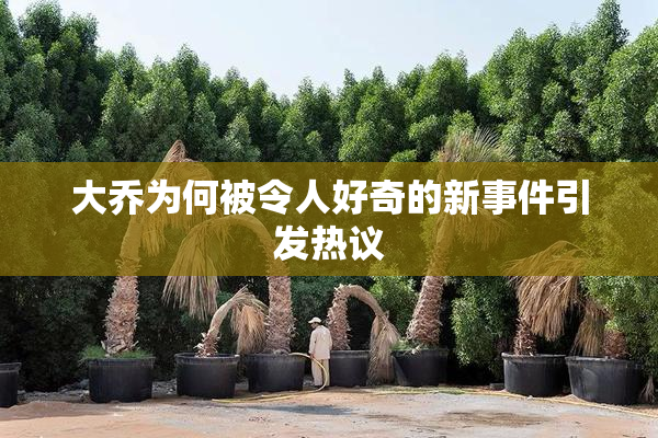 大乔为何被令人好奇的新事件引发热议