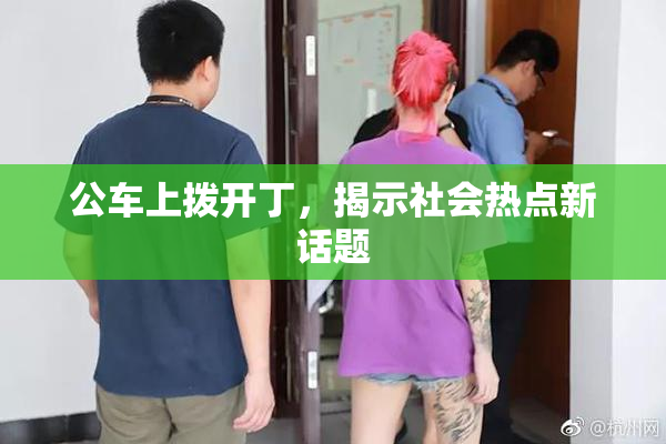 公车上拨开丁，揭示社会热点新话题
