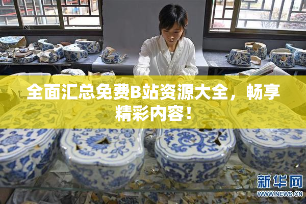 全面汇总免费B站资源大全，畅享精彩内容！