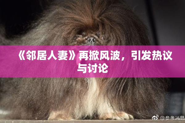 《邻居人妻》再掀风波，引发热议与讨论