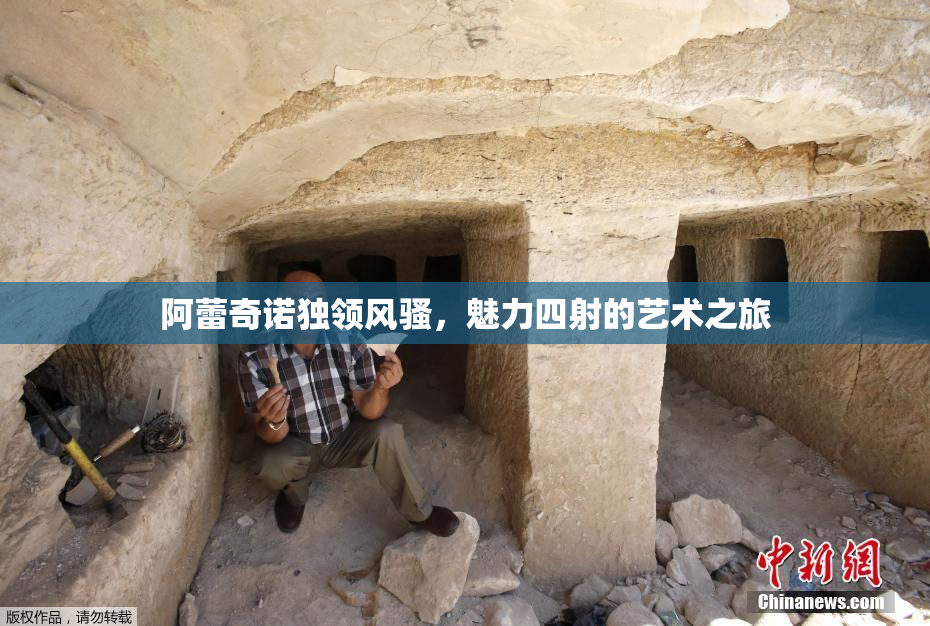 阿蕾奇诺独领风骚，魅力四射的艺术之旅