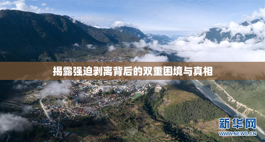 揭露强迫剥离背后的双重困境与真相