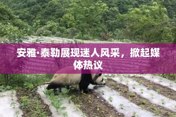 安雅·泰勒展现迷人风采，掀起媒体热议
