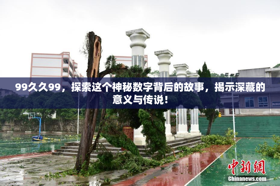 99久久99，探索这个神秘数字背后的故事，揭示深藏的意义与传说！