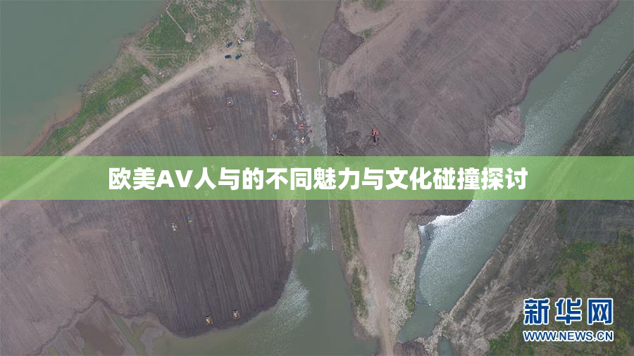 欧美AV人与的不同魅力与文化碰撞探讨