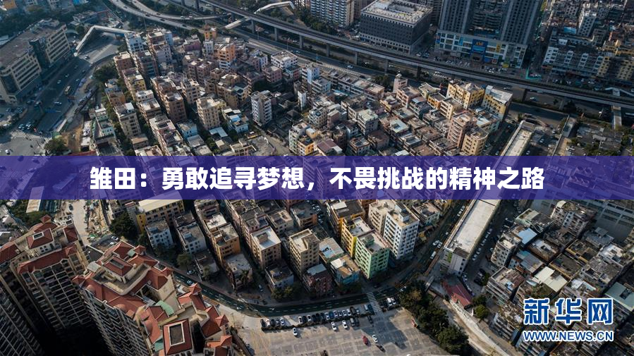 雏田：勇敢追寻梦想，不畏挑战的精神之路