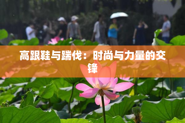 高跟鞋与踹伐：时尚与力量的交锋