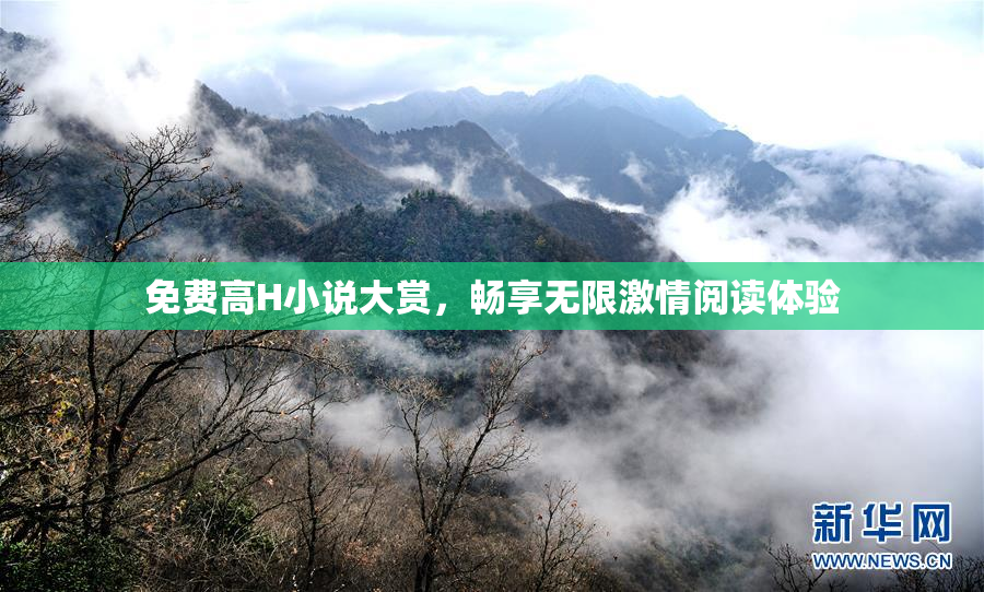 免费高H小说大赏，畅享无限激情阅读体验