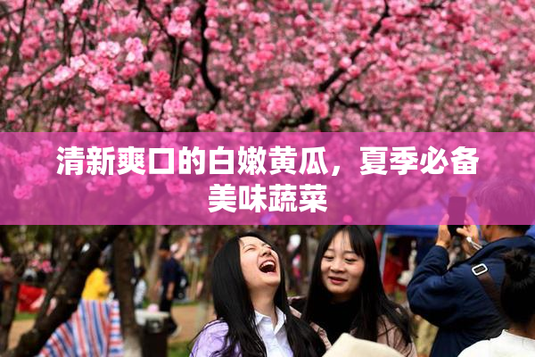 清新爽口的白嫩黄瓜，夏季必备美味蔬菜