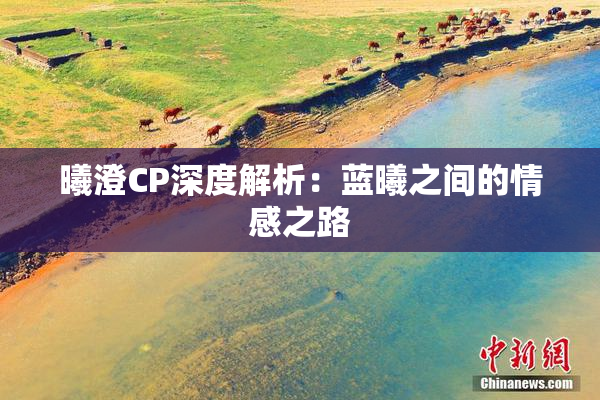曦澄CP深度解析：蓝曦之间的情感之路