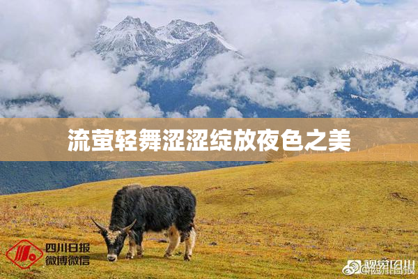 流萤轻舞涩涩绽放夜色之美