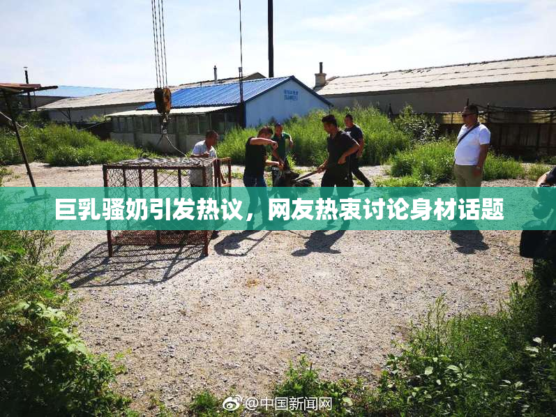 巨乳骚奶引发热议，网友热衷讨论身材话题