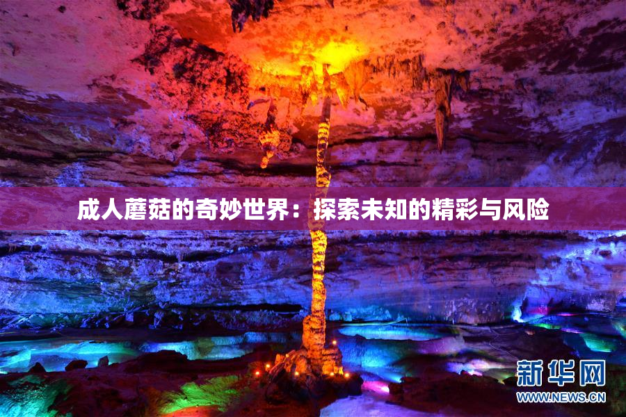 成人蘑菇的奇妙世界：探索未知的精彩与风险