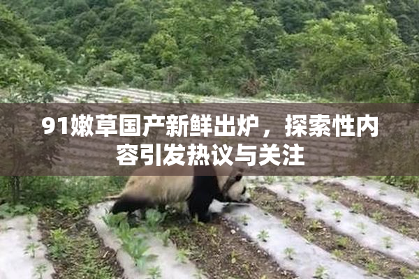 91嫩草国产新鲜出炉，探索性内容引发热议与关注