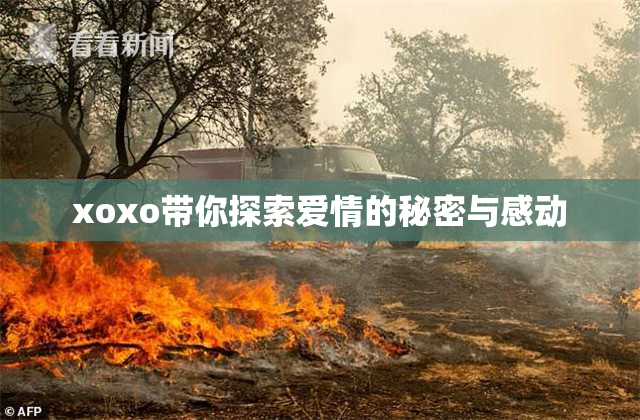 xoxo带你探索爱情的秘密与感动