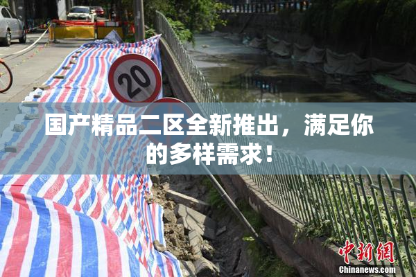 国产精品二区全新推出，满足你的多样需求！